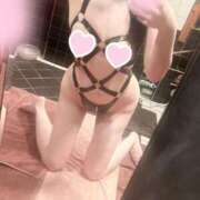 ヒメ日記 2025/02/27 12:34 投稿 らん 東京妻next (京都グループ)