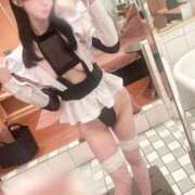 ヒメ日記 2025/03/17 18:46 投稿 らん 東京妻next (京都グループ)