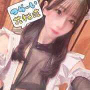 ヒメ日記 2025/03/18 16:33 投稿 らん 東京妻next (京都グループ)