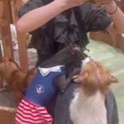 ヒメ日記 2025/08/21 18:21 投稿 よつば マリン宇都宮店