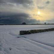 ヒメ日記 2025/02/25 18:01 投稿 はる 渋谷くいーんず