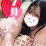 ヒメ日記 2026/07/01 09:41 投稿 りお ぽちゃ・巨乳専門店　太田足利ちゃんこ