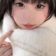 ヒメ日記 2025/12/14 15:20 投稿 しらゆき 君を舐めたくて学園