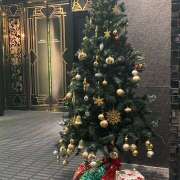 宇野 12月🎄 誘惑マル秘ミセス