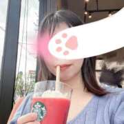 ヒメ日記 2025/04/13 19:47 投稿 奥菜 静香 Canx2京都店