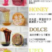 ヒメ日記 2024/12/19 23:04 投稿 ひなた チューリップ福井本館