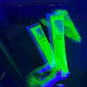 ヒメ日記 2024/12/21 20:00 投稿 ひなた チューリップ福井本館