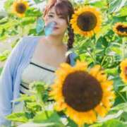 ヒメ日記 2025/08/29 08:14 投稿 ひなた チューリップ福井本館