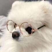 ひな 【お礼写メ日記】 札幌しこたまクリニック