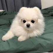 ヒメ日記 2026/01/27 17:19 投稿 ひな 札幌しこたまクリニック