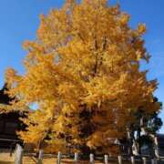 ヒメ日記 2024/12/12 11:38 投稿 有馬優 五十路マダムエクスプレス船橋店(カサブランカグループ)