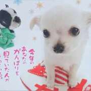 ヒメ日記 2024/12/27 12:34 投稿 有馬優 五十路マダムエクスプレス船橋店(カサブランカグループ)