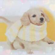 ヒメ日記 2025/01/22 10:06 投稿 有馬優 五十路マダムエクスプレス船橋店(カサブランカグループ)