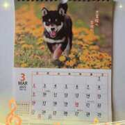 ヒメ日記 2025/03/13 14:20 投稿 有馬優 五十路マダムエクスプレス船橋店(カサブランカグループ)