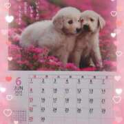 ヒメ日記 2025/06/02 16:22 投稿 有馬優 五十路マダムエクスプレス船橋店(カサブランカグループ)