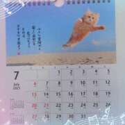 ヒメ日記 2025/07/01 11:36 投稿 有馬優 五十路マダムエクスプレス船橋店(カサブランカグループ)