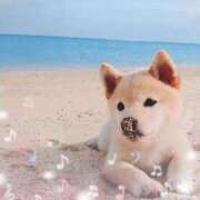 ヒメ日記 2025/07/21 10:16 投稿 有馬優 五十路マダムエクスプレス船橋店(カサブランカグループ)