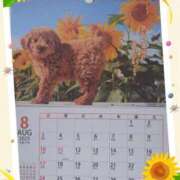 ヒメ日記 2025/08/06 12:00 投稿 有馬優 五十路マダムエクスプレス船橋店(カサブランカグループ)