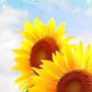 ヒメ日記 2025/08/08 10:28 投稿 有馬優 五十路マダムエクスプレス船橋店(カサブランカグループ)