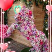 ヒメ日記 2025/09/24 23:12 投稿 有馬優 五十路マダムエクスプレス船橋店(カサブランカグループ)