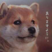 ヒメ日記 2025/09/25 23:48 投稿 有馬優 五十路マダムエクスプレス船橋店(カサブランカグループ)