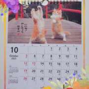 ヒメ日記 2025/10/07 14:44 投稿 有馬優 五十路マダムエクスプレス船橋店(カサブランカグループ)