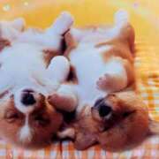 ヒメ日記 2025/10/10 01:18 投稿 有馬優 五十路マダムエクスプレス船橋店(カサブランカグループ)