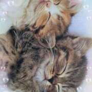 ヒメ日記 2025/10/12 01:54 投稿 有馬優 五十路マダムエクスプレス船橋店(カサブランカグループ)