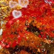 ヒメ日記 2024/12/16 23:06 投稿 あまね マリン宇都宮店