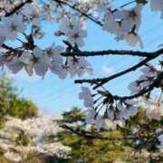 ヒメ日記 2025/04/08 16:16 投稿 あまね マリン宇都宮店