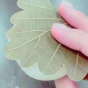 ヒメ日記 2025/04/16 13:46 投稿 あまね マリン宇都宮店