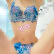 ヒメ日記 2024/12/10 15:14 投稿 ねね チューリップ福井本館