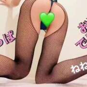 ヒメ日記 2025/01/08 14:24 投稿 ねね チューリップ福井本館