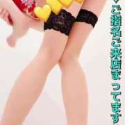 ヒメ日記 2025/03/31 13:28 投稿 ねね チューリップ福井本館