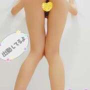 ヒメ日記 2025/04/04 09:44 投稿 ねね チューリップ福井本館