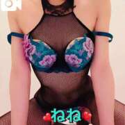 ヒメ日記 2025/04/05 10:14 投稿 ねね チューリップ福井本館