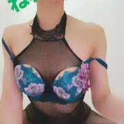 ヒメ日記 2025/04/25 07:14 投稿 ねね チューリップ福井本館