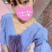 ヒメ日記 2025/09/29 06:34 投稿 ねね チューリップ福井本館