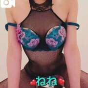 ヒメ日記 2025/09/29 18:10 投稿 ねね チューリップ福井本館