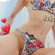 ヒメ日記 2025/11/03 06:14 投稿 ねね チューリップ福井本館