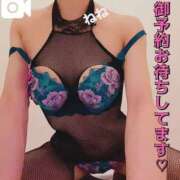 ヒメ日記 2025/11/20 13:54 投稿 ねね チューリップ福井本館