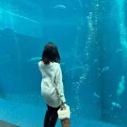 ヒメ日記 2025/02/20 01:18 投稿 みいな DRAMA（ドラマ）