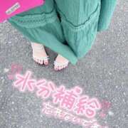 ヒメ日記 2025/08/28 02:12 投稿 みいな DRAMA（ドラマ）