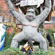 ヒメ日記 2025/11/25 20:14 投稿 みいな DRAMA（ドラマ）