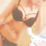 ヒメ日記 2025/03/02 08:41 投稿 このは チューリップ福井本館