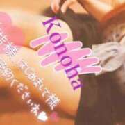 ヒメ日記 2025/06/01 12:24 投稿 このは チューリップ福井本館