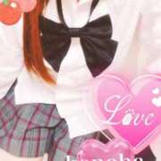 ヒメ日記 2025/06/04 08:34 投稿 このは チューリップ福井本館