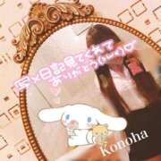 ヒメ日記 2025/08/11 08:54 投稿 このは チューリップ福井本館