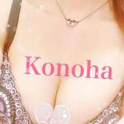 ヒメ日記 2025/08/19 09:19 投稿 このは チューリップ福井本館