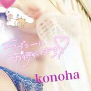 ヒメ日記 2025/08/20 18:56 投稿 このは チューリップ福井本館